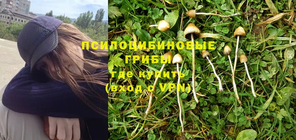 сатива Армянск